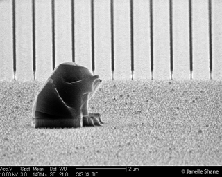 Illustration for article titled 16 Incredible Animals and Landscapes You Can Only See With a Microscope